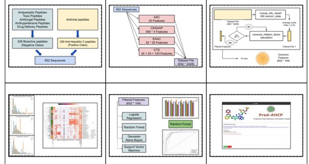 Dense Captioning Model 